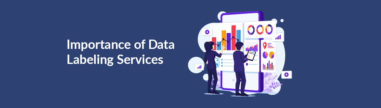 Importance of data labeling services